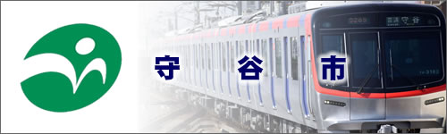 守谷市